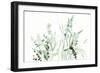 Grasses I-Katrina Pete-Framed Art Print