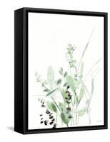 Grasses II-Katrina Pete-Framed Stretched Canvas