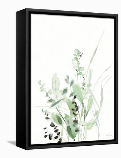 Grasses II-Katrina Pete-Framed Stretched Canvas