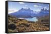 Grasses, Lago Pehoe and the Cordillera Del Paine, Torres Del Paine National Park-Eleanor Scriven-Framed Stretched Canvas