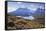 Grasses, Lago Pehoe and the Cordillera Del Paine, Torres Del Paine National Park-Eleanor Scriven-Framed Stretched Canvas