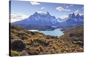 Grasses, Lago Pehoe and the Cordillera Del Paine, Torres Del Paine National Park-Eleanor Scriven-Stretched Canvas