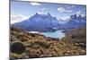 Grasses, Lago Pehoe and the Cordillera Del Paine, Torres Del Paine National Park-Eleanor Scriven-Mounted Photographic Print