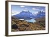 Grasses, Lago Pehoe and the Cordillera Del Paine, Torres Del Paine National Park-Eleanor Scriven-Framed Photographic Print