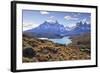 Grasses, Lago Pehoe and the Cordillera Del Paine, Torres Del Paine National Park-Eleanor Scriven-Framed Photographic Print