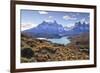 Grasses, Lago Pehoe and the Cordillera Del Paine, Torres Del Paine National Park-Eleanor Scriven-Framed Photographic Print