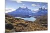 Grasses, Lago Pehoe and the Cordillera Del Paine, Torres Del Paine National Park-Eleanor Scriven-Mounted Photographic Print