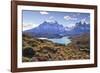 Grasses, Lago Pehoe and the Cordillera Del Paine, Torres Del Paine National Park-Eleanor Scriven-Framed Photographic Print