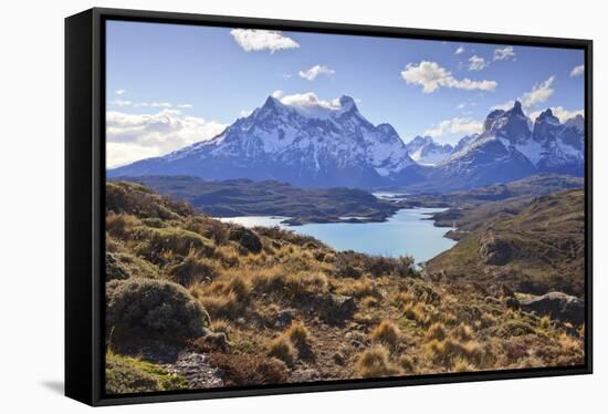 Grasses, Lago Pehoe and the Cordillera Del Paine, Torres Del Paine National Park-Eleanor Scriven-Framed Stretched Canvas