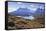 Grasses, Lago Pehoe and the Cordillera Del Paine, Torres Del Paine National Park-Eleanor Scriven-Framed Stretched Canvas