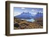 Grasses, Lago Pehoe and the Cordillera Del Paine, Torres Del Paine National Park-Eleanor Scriven-Framed Premium Photographic Print