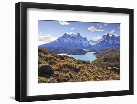 Grasses, Lago Pehoe and the Cordillera Del Paine, Torres Del Paine National Park-Eleanor Scriven-Framed Premium Photographic Print