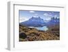 Grasses, Lago Pehoe and the Cordillera Del Paine, Torres Del Paine National Park-Eleanor Scriven-Framed Premium Photographic Print