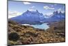 Grasses, Lago Pehoe and the Cordillera Del Paine, Torres Del Paine National Park-Eleanor Scriven-Mounted Premium Photographic Print