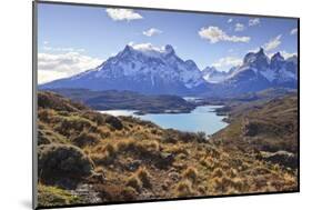 Grasses, Lago Pehoe and the Cordillera Del Paine, Torres Del Paine National Park-Eleanor Scriven-Mounted Photographic Print