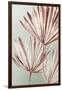 Grasses Palms I-Asia Jensen-Framed Art Print