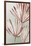 Grasses Palms I-Asia Jensen-Framed Art Print