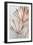 Grasses Palms I-Asia Jensen-Framed Art Print