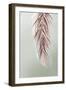Grasses Palms II-Asia Jensen-Framed Art Print