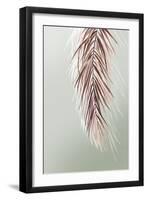 Grasses Palms II-Asia Jensen-Framed Art Print