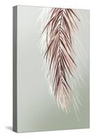 Grasses Palms II-Asia Jensen-Stretched Canvas