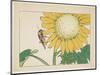 Grasshopper and Sunflower, C. 1877-Shibata Zeshin-Mounted Giclee Print