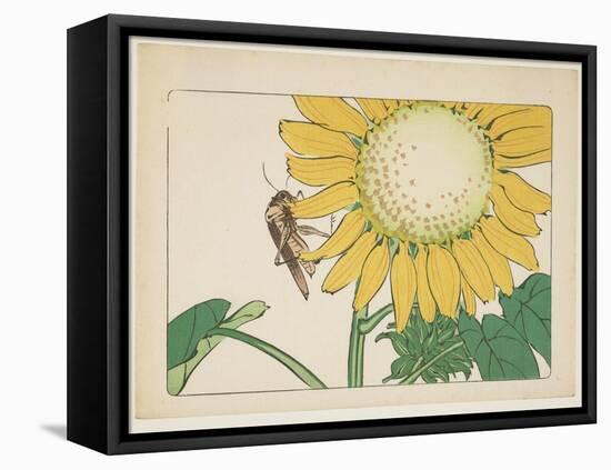 Grasshopper and Sunflower, C. 1877-Shibata Zeshin-Framed Stretched Canvas