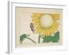 Grasshopper and Sunflower, C. 1877-Shibata Zeshin-Framed Giclee Print