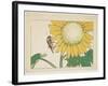 Grasshopper and Sunflower, C. 1877-Shibata Zeshin-Framed Giclee Print