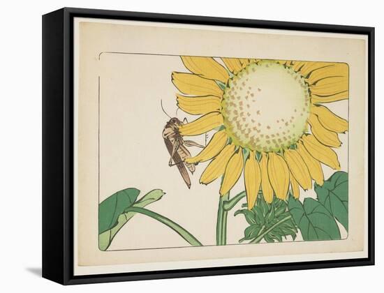 Grasshopper and Sunflower, C. 1877-Shibata Zeshin-Framed Stretched Canvas