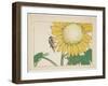 Grasshopper and Sunflower, C. 1877-Shibata Zeshin-Framed Giclee Print