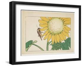 Grasshopper and Sunflower, C. 1877-Shibata Zeshin-Framed Giclee Print