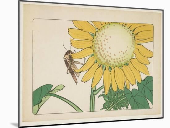 Grasshopper and Sunflower, C. 1877-Shibata Zeshin-Mounted Giclee Print