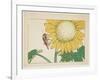 Grasshopper and Sunflower, C. 1877-Shibata Zeshin-Framed Giclee Print