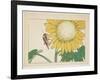 Grasshopper and Sunflower, C. 1877-Shibata Zeshin-Framed Giclee Print