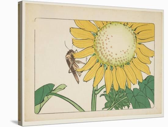 Grasshopper and Sunflower, C. 1877-Shibata Zeshin-Stretched Canvas