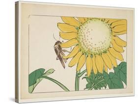 Grasshopper and Sunflower, C. 1877-Shibata Zeshin-Stretched Canvas