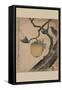 Grasshopper Eating Persimmon.-Katsushika Hokusai-Framed Stretched Canvas