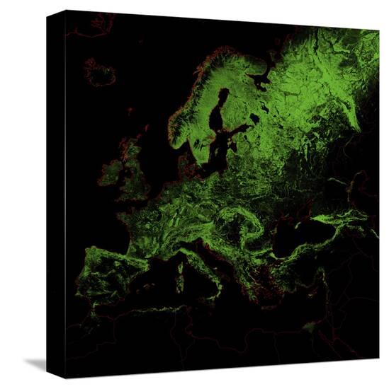 Stretched Canvas Print, , large