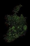 Forest Cover Of Ireland-Grasshopper Geography-Giclee Print