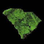 Forest Cover Of South Carolina-Grasshopper Geography-Giclee Print