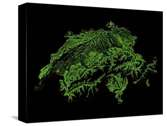 Stretched Canvas Print, , large