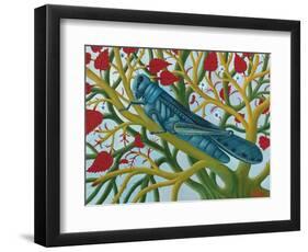 Grasshopper-Tamas Galambos-Framed Giclee Print