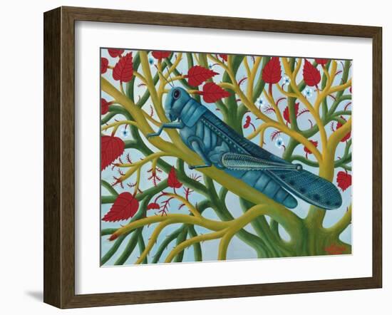 Grasshopper-Tamas Galambos-Framed Giclee Print