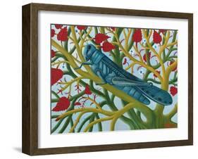 Grasshopper-Tamas Galambos-Framed Giclee Print