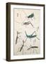 Grasshoppers and Mantises-null-Framed Giclee Print