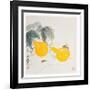 Grasshoppers on Yellow Gourds-Qi Baishi-Framed Art Print