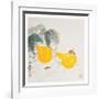 Grasshoppers on Yellow Gourds-Qi Baishi-Framed Art Print