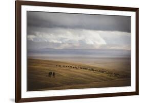 Grassland Grazing-Andrew Geiger-Framed Giclee Print