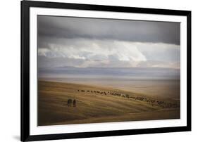 Grassland Grazing-Andrew Geiger-Framed Giclee Print